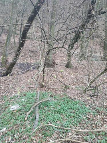 IMG 20250322 151526