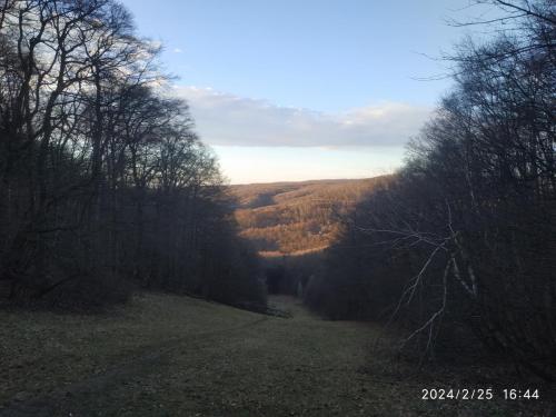 24.02.2024_Turistika(velo)_Devinska kobyla_21.7km_1den