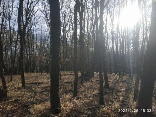 25.02.2024_Turistika(peso)_Kamzik_p2_12km_1den