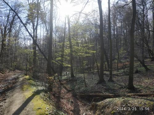 25.03.2023_Turistika(peso)_KamzikP1_35km_1den