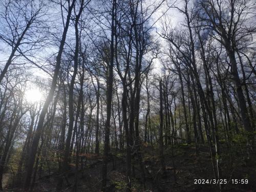 IMG 20240325 155910