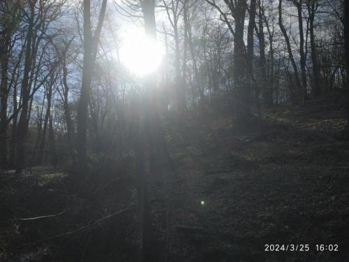 IMG 20240325 160224