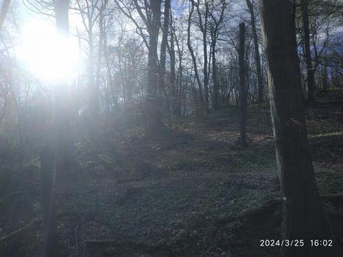 IMG 20240325 160238