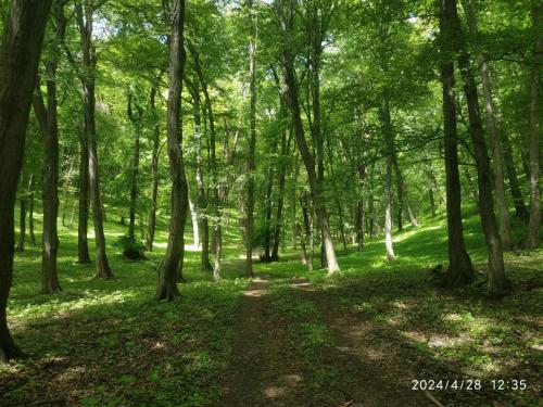 28.04.2024_Turistika(velo)_Devinska kobyla_21.7km_1den