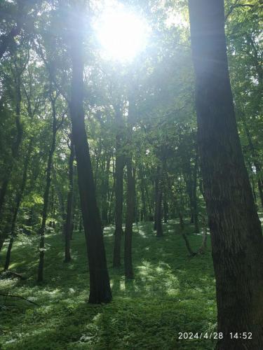 28.04.2024_Turistika_Devinska_kobyla_21.7km