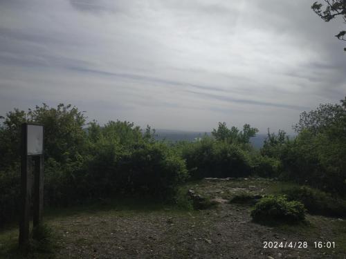 IMG 20240428 160102