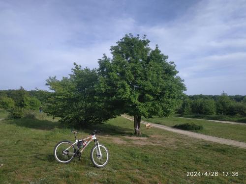 IMG 20240428 173612