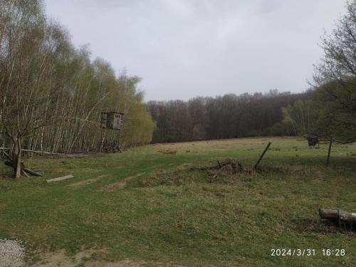 IMG 20240331 162847