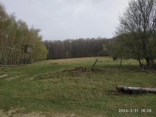IMG 20240331 162849