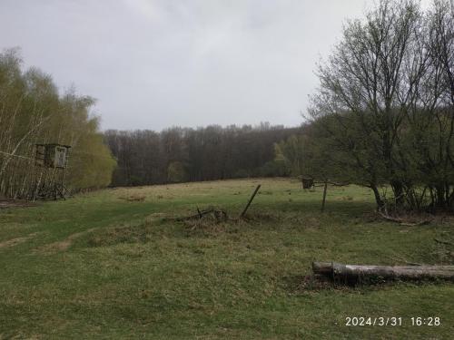 IMG 20240331 162851
