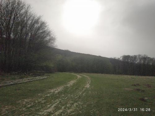 IMG 20240331 162853