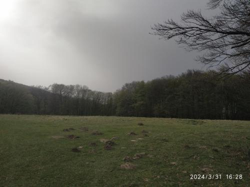 IMG 20240331 162856