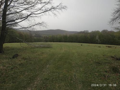 IMG 20240331 163656