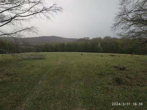 IMG 20240331 163658