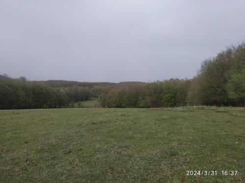 IMG 20240331 163729