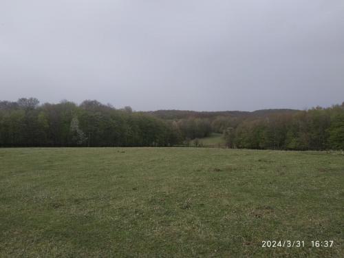 IMG 20240331 163731