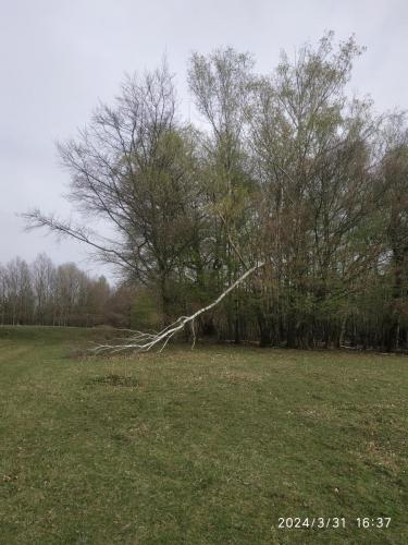 30.03.2024_Turistika(peso)_Kamzik_p3_47km_2dni