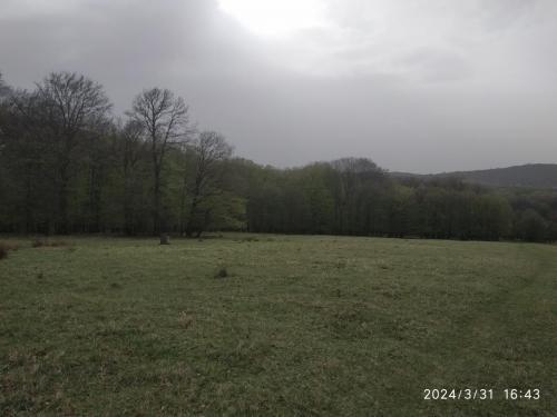 IMG 20240331 164305