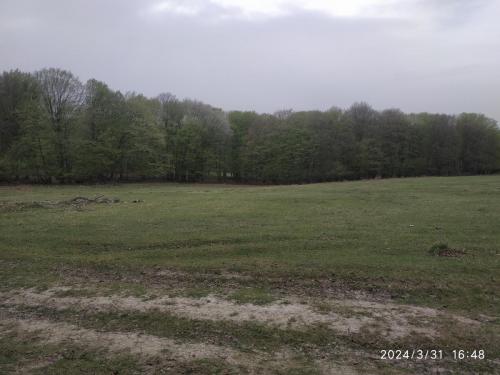 IMG 20240331 164843