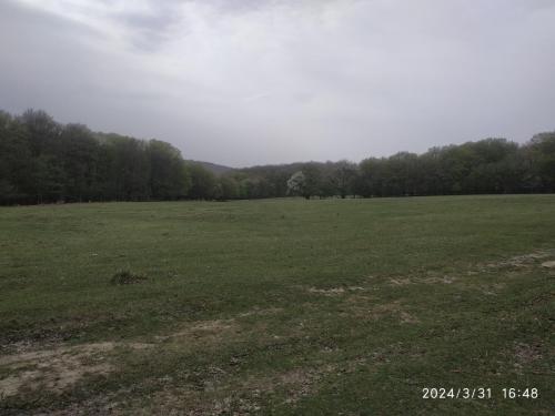IMG 20240331 164847