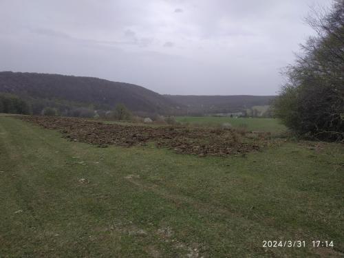 IMG 20240331 171434