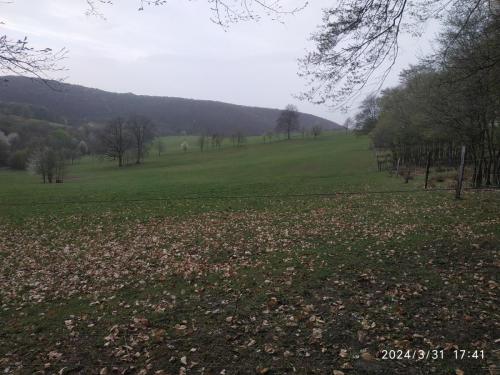 IMG 20240331 174140