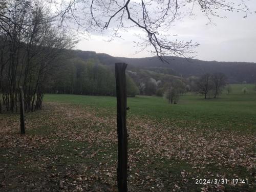IMG 20240331 174143