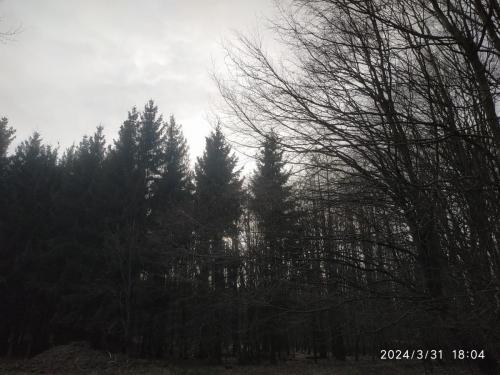 IMG 20240331 180450
